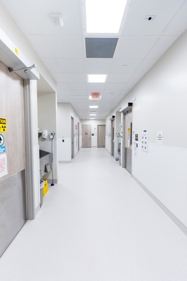 A corridor between operating rooms